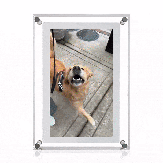 MomentFrame Digital Frame